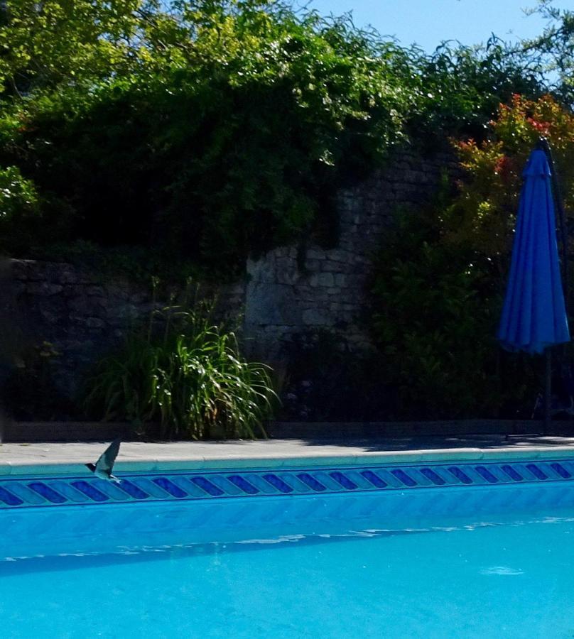 Les Coindries Villa Faye-la-Vineuse Dış mekan fotoğraf