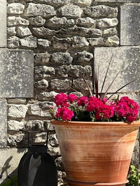 Les Coindries Villa Faye-la-Vineuse Dış mekan fotoğraf